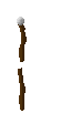 staff
