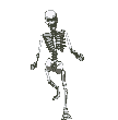 skeleton