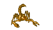 scorpion
