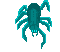 spider