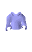 wizardsrobe