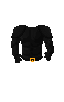 platebodyshoulder