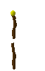 staff