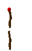 staff