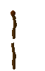 staff