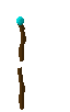 staff