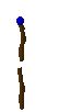 staff