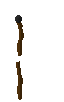 staff