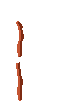 staff_authentic