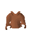 Wizardsrobe