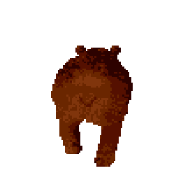 back