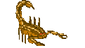 front-left
