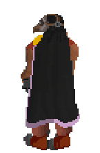 back-right