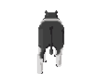 back
