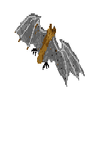 back-left