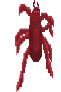 back