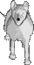 sprite 1055