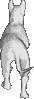 sprite 1067