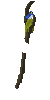 sprite 3145