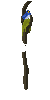 sprite 3146