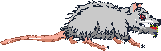 sprite 720
