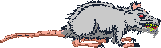 sprite 721