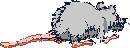sprite 724