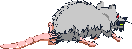 sprite 725