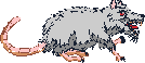 sprite 729