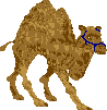 sprite 771