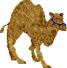 sprite 772