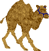 sprite 773