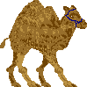 sprite 774