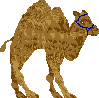 sprite 775