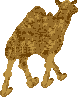sprite 779