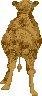 sprite 780