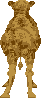 sprite 781
