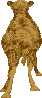 sprite 782