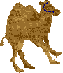 sprite 784