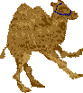 sprite 785