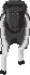 sprite 788