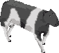 sprite 789