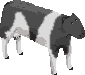 sprite 790