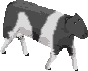 sprite 791