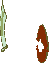 sprite 892