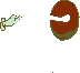 sprite 894