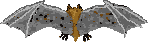 sprite 976