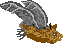 sprite 979