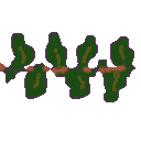 sprite 40