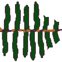 sprite 41